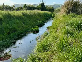 The Mākoura Stream in Homebush, nearing its confluence with the Ruamāhanga River, prior to rehabilitation work commencing.